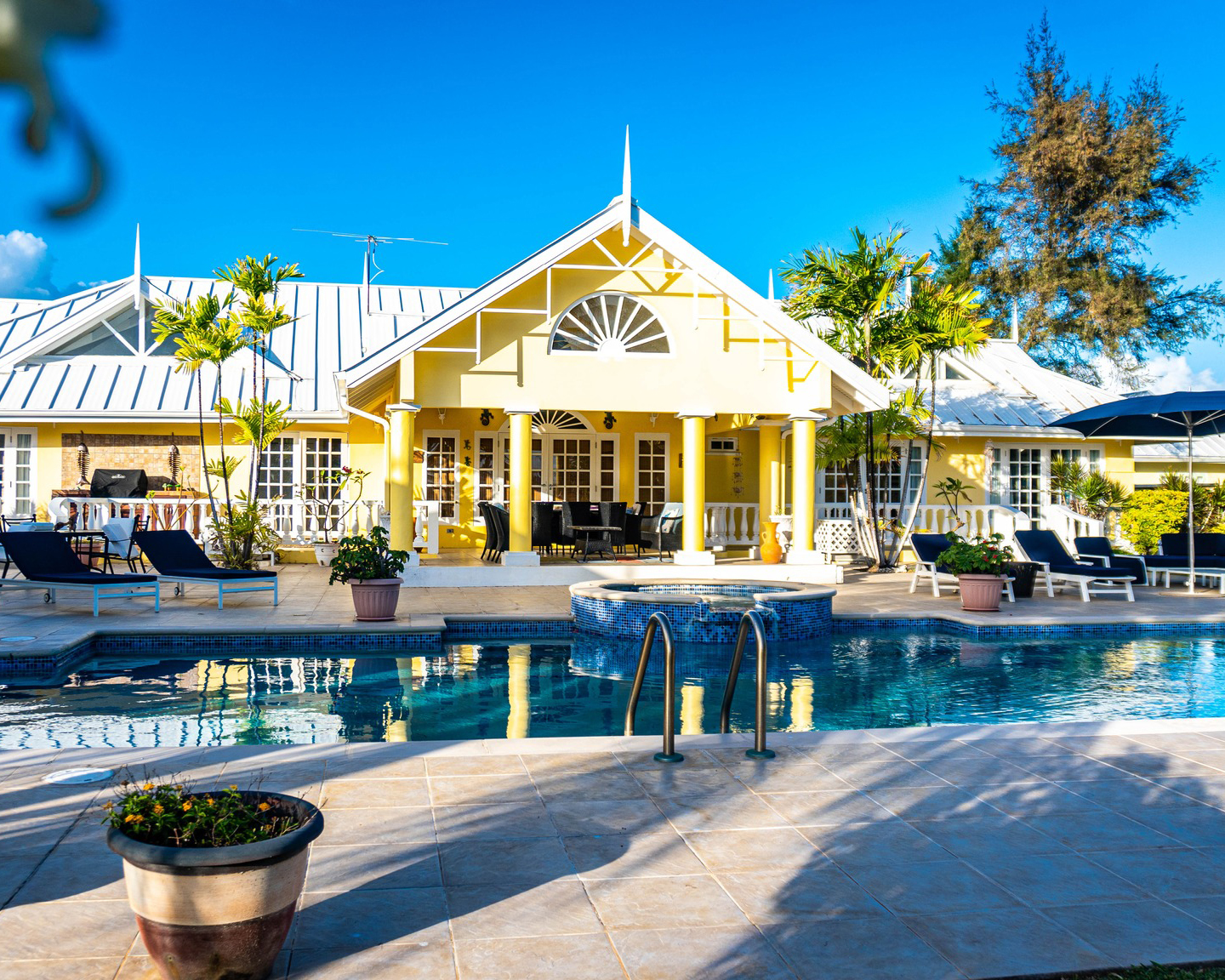 PintSize Paradise Realty